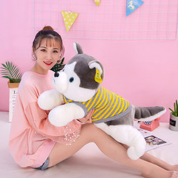 ຂອງແທ້ງາມ Husky Plush Toy Erha Pillow Doll Doll Rag Doll ນອນເດັກຍິງ Model ຂອງຂວັນວັນເກີດ