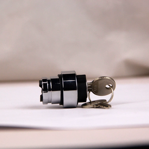 Электрический ключ Schneider Schneider Выберите, чтобы запустить вторую передачу, чтобы поднять ZB2BG4C