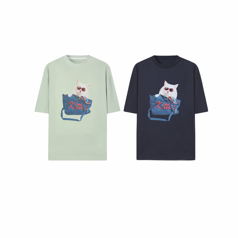 Traveling Kitty t