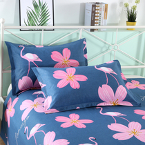 Pillowcase pure cotton printed old coarse cloth pillow headgear large number one pair of student dormitories single pillow core cover 48 x 74cm