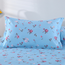 Pure cotton pillowcase thickened pair of simple Nordic 40 x 60 adult large size grid couple single cotton pillow headgear