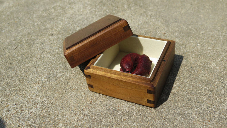 Boite à bijoux OTHER   - Ref 3105804 Image 23