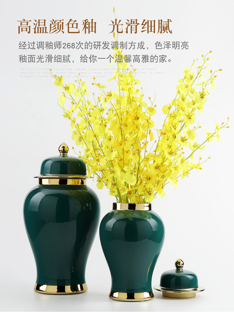 General European modern ceramic pot furnishing articles of new Chinese style originality sitting room porch pavilion flower arranging, home decoration