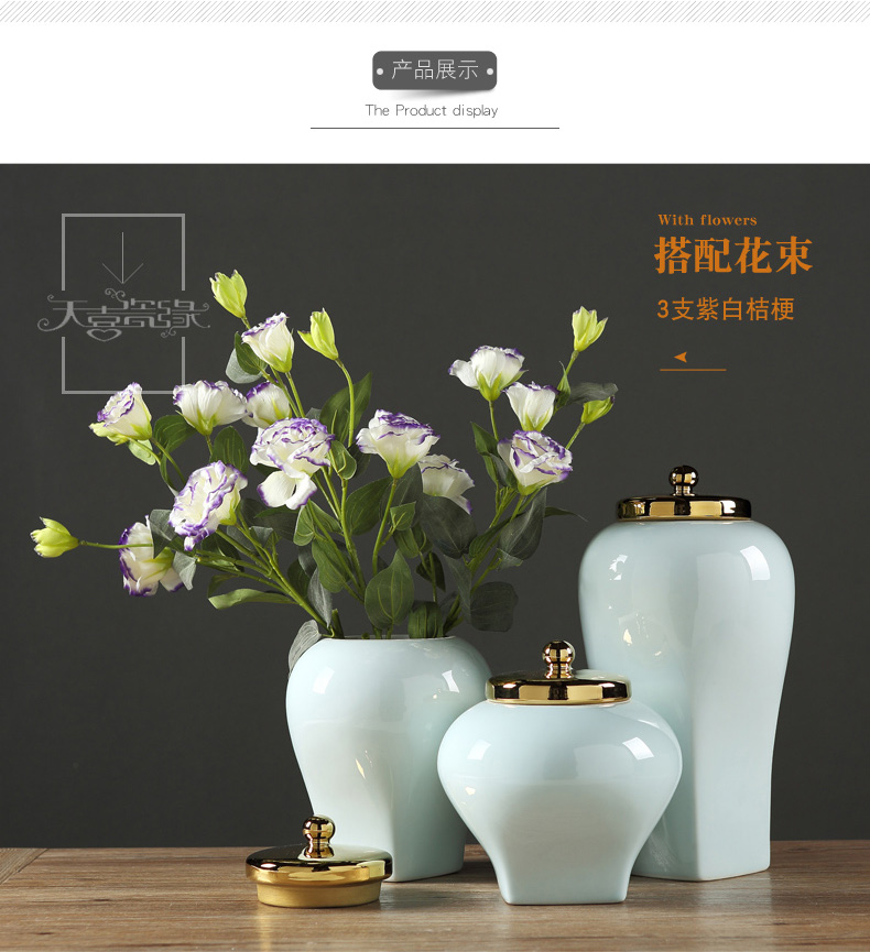 Modern Chinese style simple creative ceramic household act the role ofing is tasted wine storage tank furnishing articles, the sitting room porch example room decoration