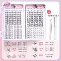 336 Книга Landlash Book Family Portrait Смешанный диск (включая позитивный глянцевый семерым волокно) четыре горячего смешанного смешанного