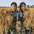 五常大米莲花村姐妹的LOGO