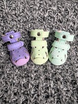 DJJ new hole sandals breathable dog shoes (pack of two)