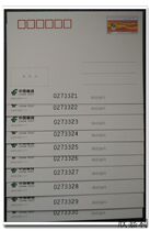 Ordinary Postage Postcard 2019 PP311 Panjin Red Beach Pets ten All