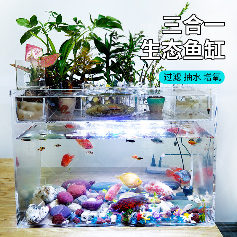亚克力自循环鱼缸金鱼生态造景缸开放式乌龟生态缸可客制化