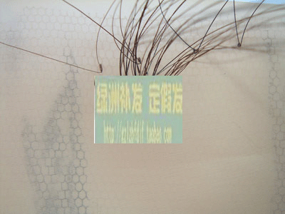 Extension mèches - Ref 225713 Image 24