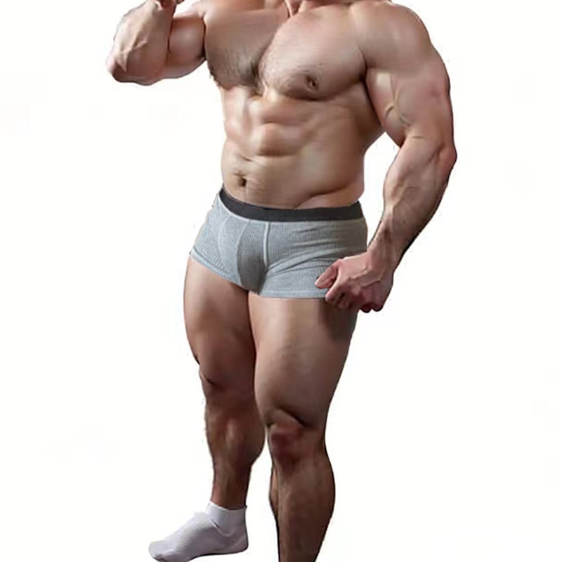 Making Bear Men Modall Rootted Panties Men's Plain Panties Quadrip Sports Pure Breakfast Comfort Pants