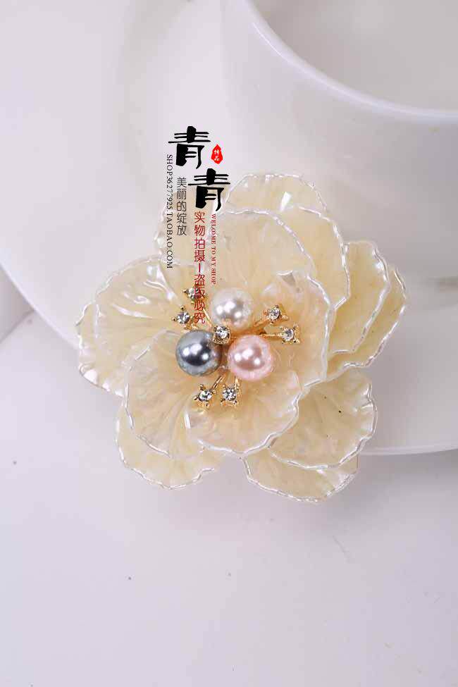 Broche femme en Nacre - Ref 1175679 Image 21