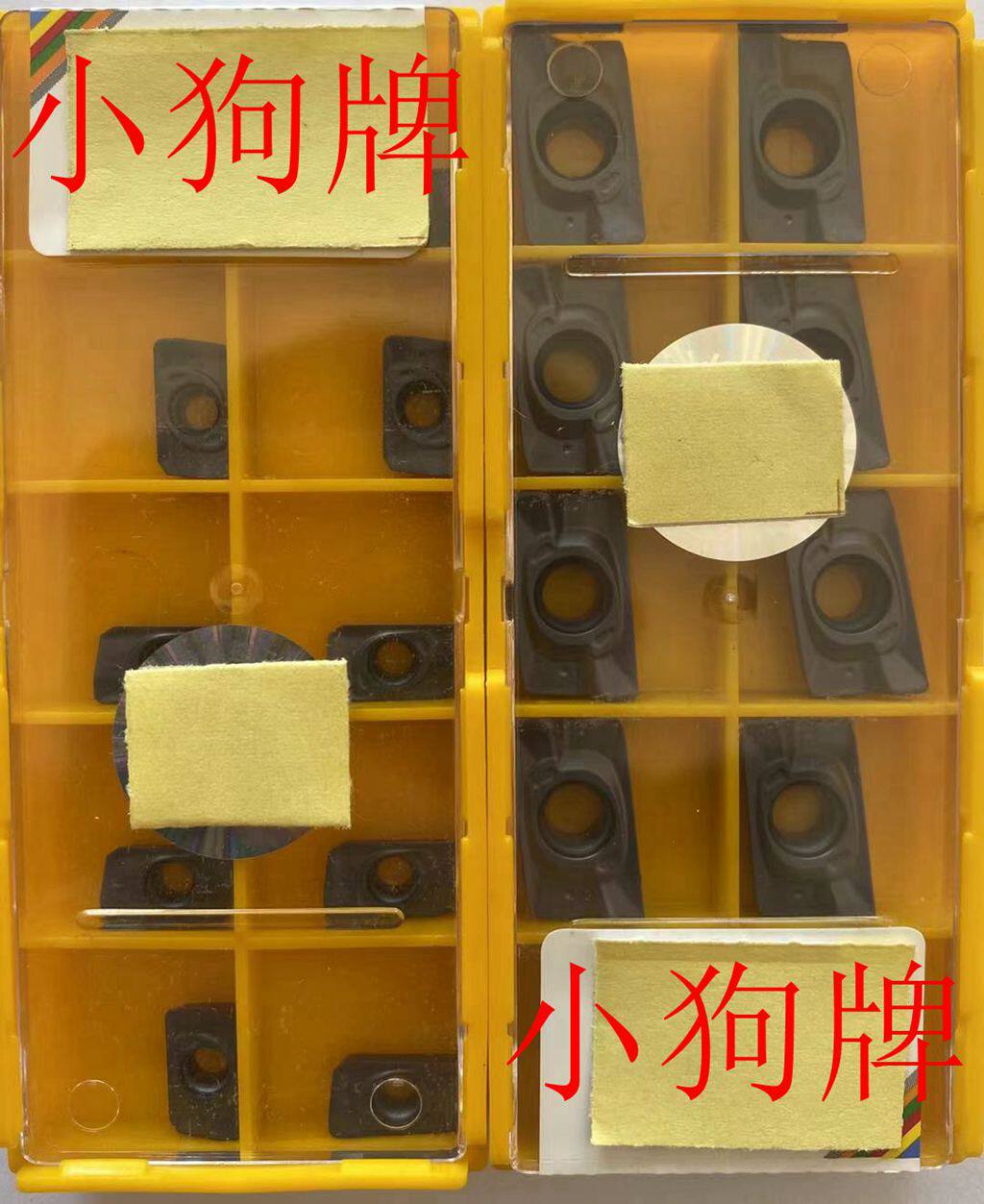 Puppies APMT1135PDER TE1008 TE1008 APMT1135PDER APMT1135PDER TE1028 TE1028