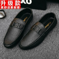 Черный, модернизированная версия