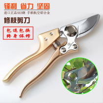 Flower scissors gardening scissors fruit tree branches flower and wood potted flower branch pruning cutter imported manganese steel floral gardening tools