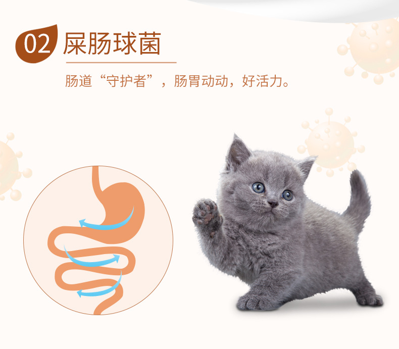 Mèo ăn nhẹ mèo pudding Cả hai dê sữa pudding mèo con mèo ăn nhẹ mèo ướt thức ăn mèo thạch mèo mèo đóng hộp - Đồ ăn nhẹ cho mèo đồ ăn cho mèo