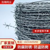 Steel wire barbed plated rope anti-rust climbing balcony wire mesh protective barbed anti-theft hot tribulus thorn fence wire anti-iron