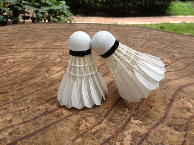 Cầu lông Weidong Weidong chính hãng W495 siêu bền để chiến đấu cầu lông ổn định 3 Pack vợt cầu lông forza