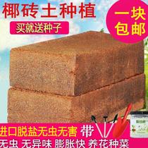 Organic nutrient soil planting flowers growing vegetables fleshy universal Earth sterile coconut flour coconut brick planting clay large coconut brick potted