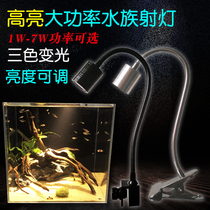 South American fish tank spotlight led clip light viewing landscape Three Lakes native water grass Aquarium Sea Turtle cylinder zoom spotlight