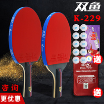 Double fish table tennis racket Double shot 2-pack horizontal shot straight shot Amateur training table tennis racket anti-plastic table tennis racket