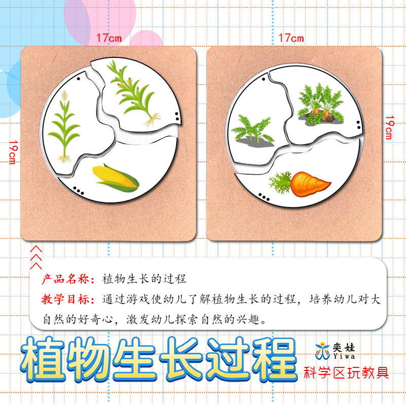 幼儿园科学区植物生长过程什么从哪里来水果的秘密