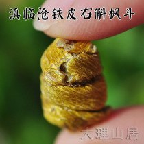 Great Rational Mountain Residence] Upper Pine Yunnan Lincang Dendrobium Candidum Maple Bucket Three Years Fresh of Glial Dense and Slag Free 36g