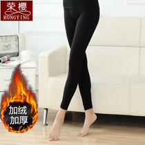 Autumn winter beating bottom thickened medium-high waist and autumn pants mid-aged cotton pants mother grandma warm pants with velvety thermal pants