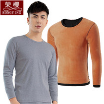 Round Collar Warm Underwear Men Gold Suede Blouse Blouse Single Piece Bottom Pure Cotton Plus Suede Thickened Winter Cotton Sweater