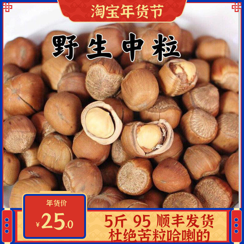 Wild Hazelnut 2021 Northeast specialty Tieling Kaiyuan original hazelnut roasted nuts 500g Shunfeng medium grain