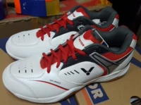 Giày cầu lông Victory SH-A501-E / D VICTOR / Wicko giày cầu lông yonex