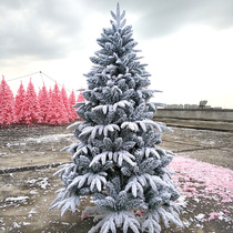 Luxury snow spray Christmas tree 1 258 White Christmas tree snow spray PE PVC snow spray Christmas tree