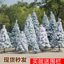 New PE flocking Christmas white snowflake Christmas tree 1 5 meters 1 8 meters 2 1 meters 3 meters simulation snow decoration