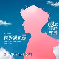 Wang Yuan because I Met You (2018 version) official Original Stereo accompaniment high sound quality boutique