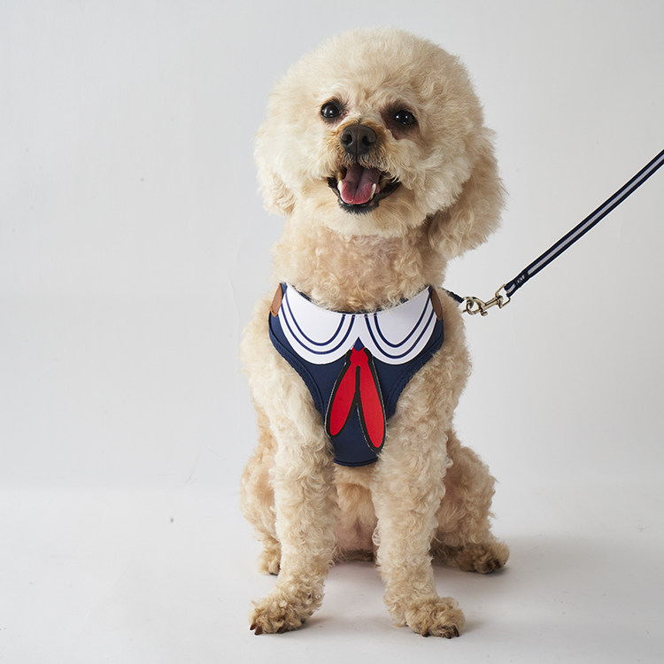 Pet Kitty Dog Traction Rope Dog Rope Walking Dog Traction Rope Anti-Escape Vest Type Chest Back Traction Rope Small Dog