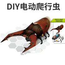 Primary and secondary students DIY assemble mechanical electric crawl simulation insect model beetle mantis children science toys