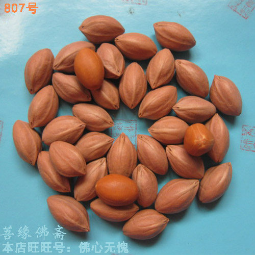 Olive core carving raw material small nuclear round pearl pearlescent pearl exquisite necklace bracelet Maitreya Arhat Bodhi olive beard