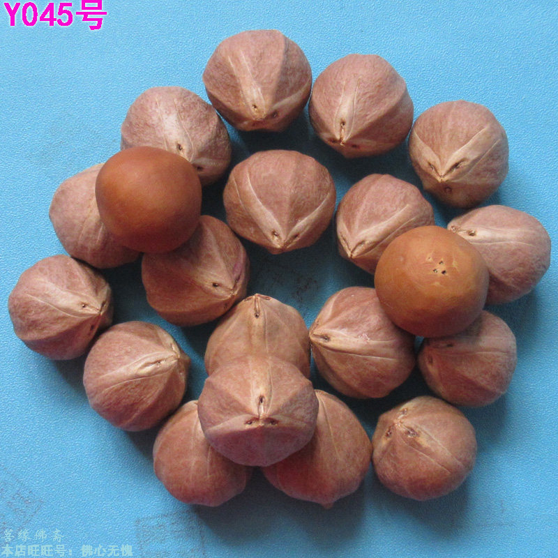 Olive nuclear sculpted raw seed positive round light pearl red oil Nuclear text Play to carve the Bodhi Rohan Mellin pearl engraving single