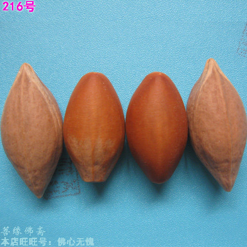 Olive Nuclear Sculptures Raw Material Large Length Nuclear Round Nuclear Guan Kumi K'uei K'uei Engraving Knife Use Vin Play Bodice Seed Red Oil Core