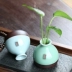 Long Tuyền Celadon Bình trang trí phòng khách Cắm hoa Sáng tạo Hoa thủy canh Bình sứ Bình nhỏ Bình gốm - Trang trí nội thất