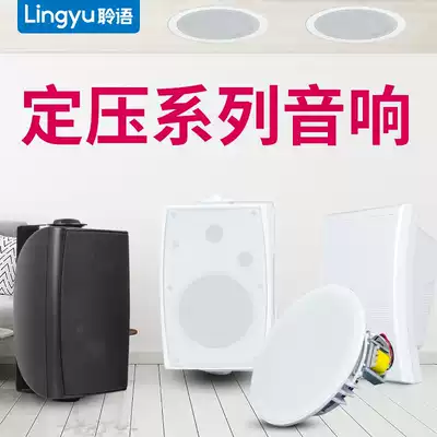 Linglanguage fixed pressure wall speaker shop audio dining room horn subwoofer Dance Studio conference room speaker
