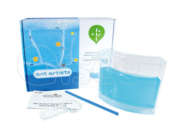 Ausico play ants live pet children's puzzle oversized classic arc ant workshop R Us same style