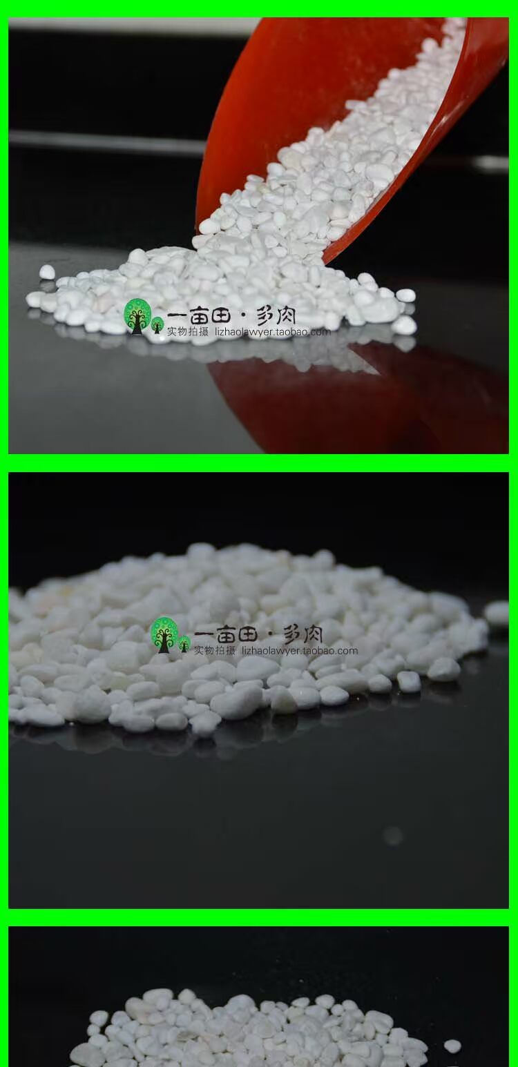 Trang trí đặc biệt mọng nước, đá lát, vật liệu lát, đồ làm vườn, đá đầy màu sắc, ceramsite, ngọc bích chậu trồng hoa