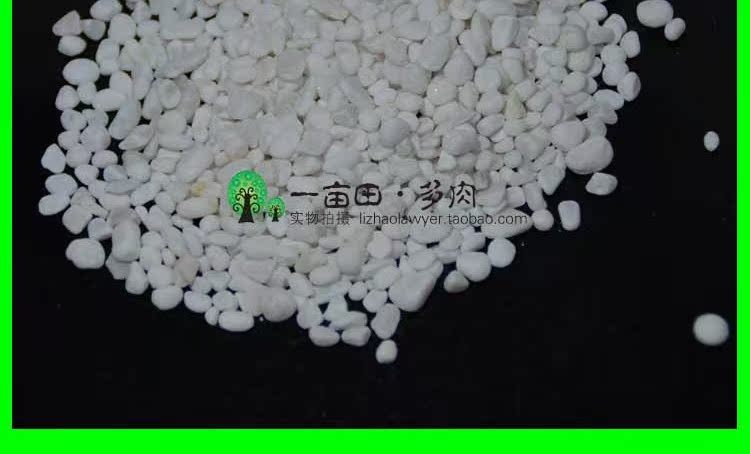Trang trí đặc biệt mọng nước, đá lát, vật liệu lát, đồ làm vườn, đá đầy màu sắc, ceramsite, ngọc bích chậu trồng hoa