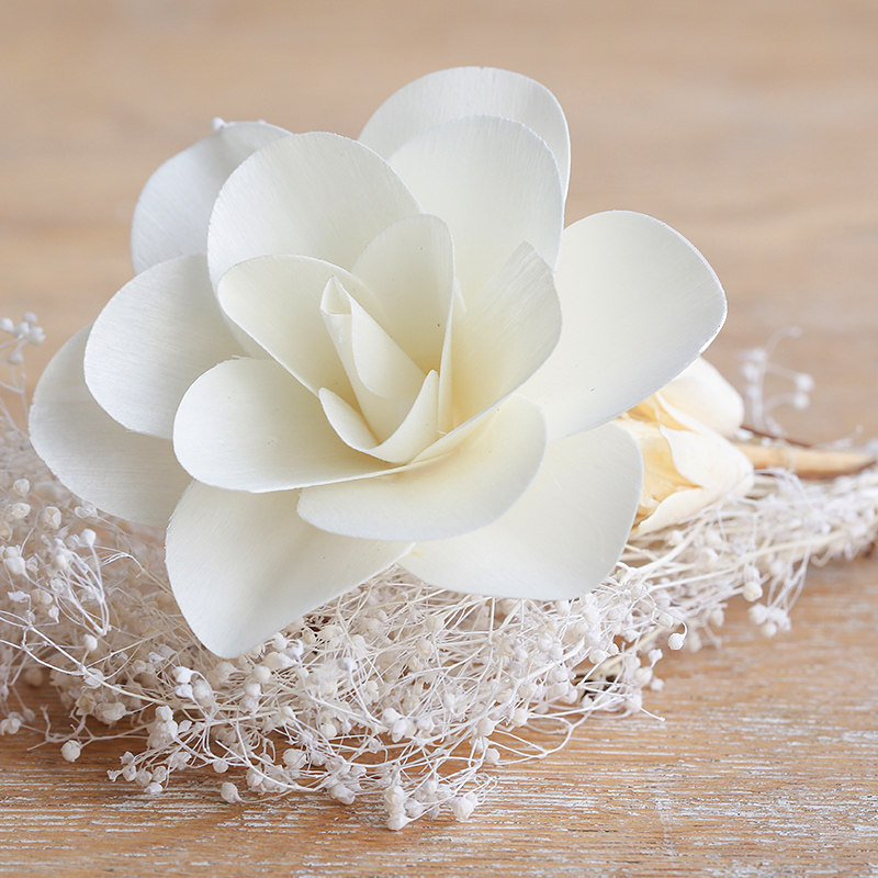 ���ӼҾ�ŷʽ��԰װ��Ʒ�ڼ�ľ��BJ090016