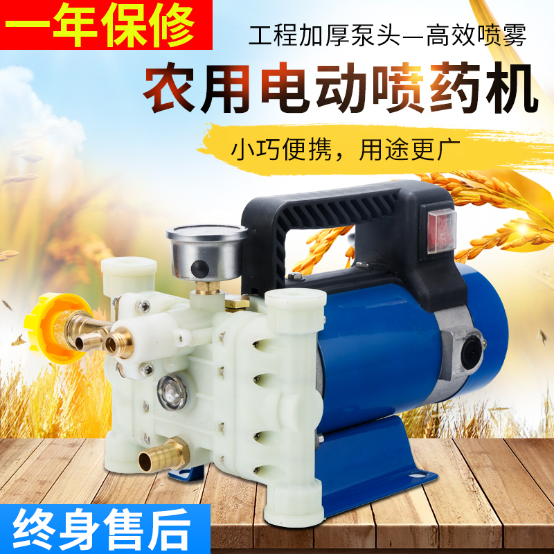 Portable sprayer agricultural electric pesticide fruit tree sprayer 12V48V60V volt high pressure double-cylinder plunger pump
