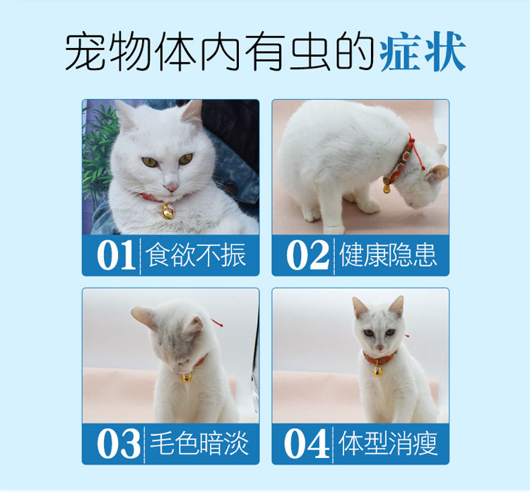 Pet cơ thể thuốc chống côn trùng 4 viên nang côn trùng mèo con chó con chó con phổ dụng thuốc chống côn trùng - Cat / Dog Health bổ sung Sữa dành cho mèo con mới đẻ