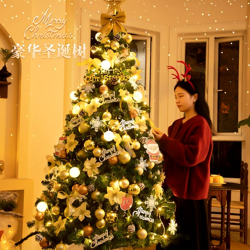 Рождественский декор, брендовое ювелирное украшение для домашнего использования, коллекция 2023, популярно в интернете, изысканный стиль