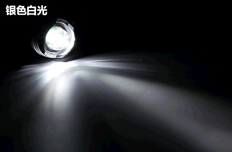 Eclairage pour vélo COOLWIND - Frog Lumières - Ref 2397855 Image 40