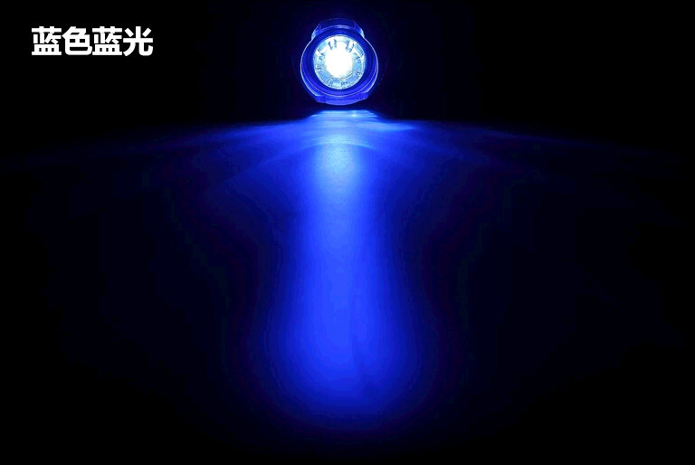 Eclairage pour vélo COOLWIND - Frog Lumières - Ref 2397855 Image 39